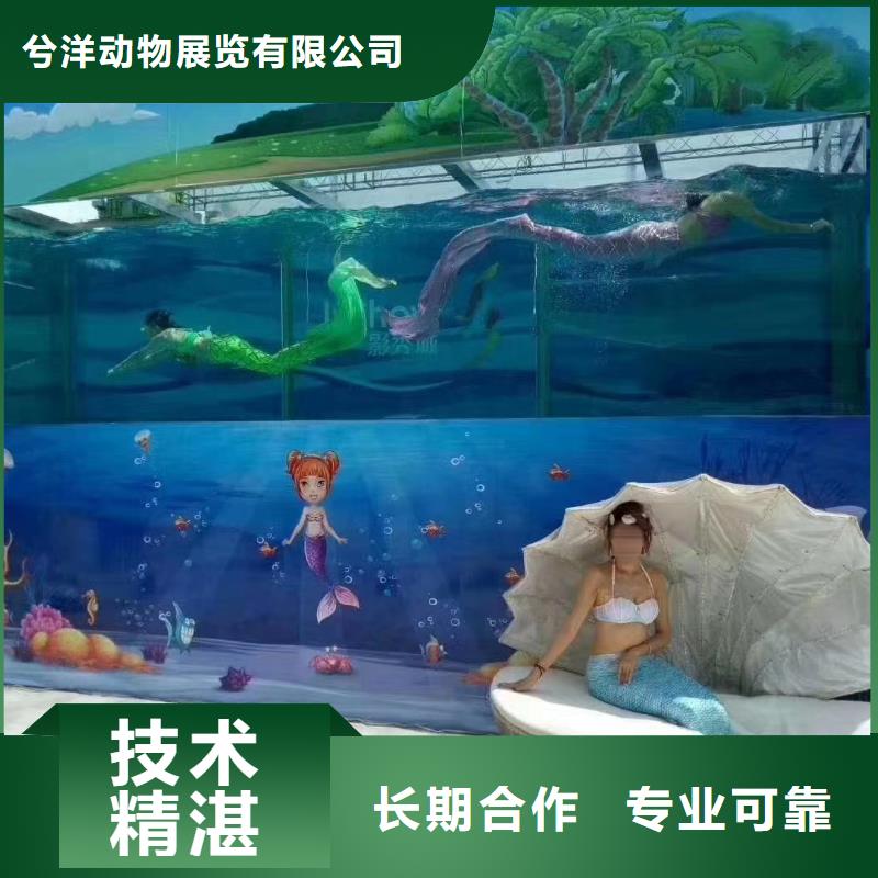 海洋生物展出租公司联系方式