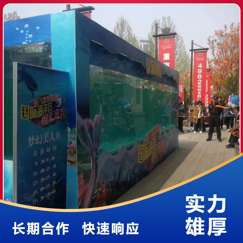 现货供应海狮表演租赁_优质厂家