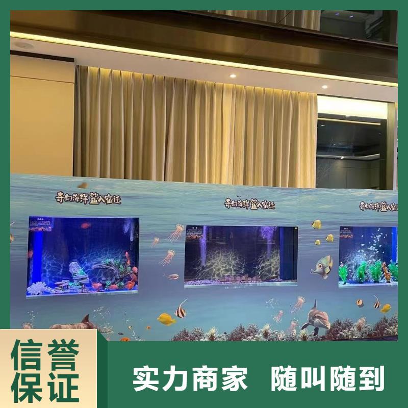 【海洋主题动物表演】海洋展租赁团队