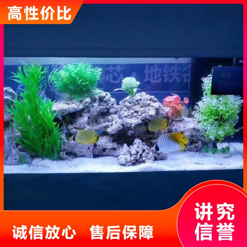 海洋生物展租赁公司节日活动