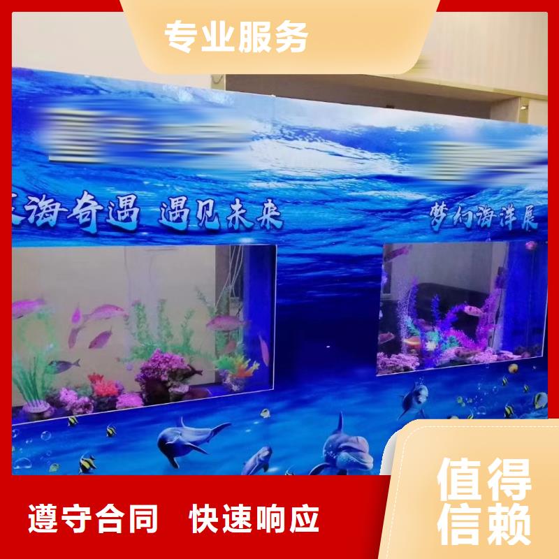 海洋展出租海洋动物