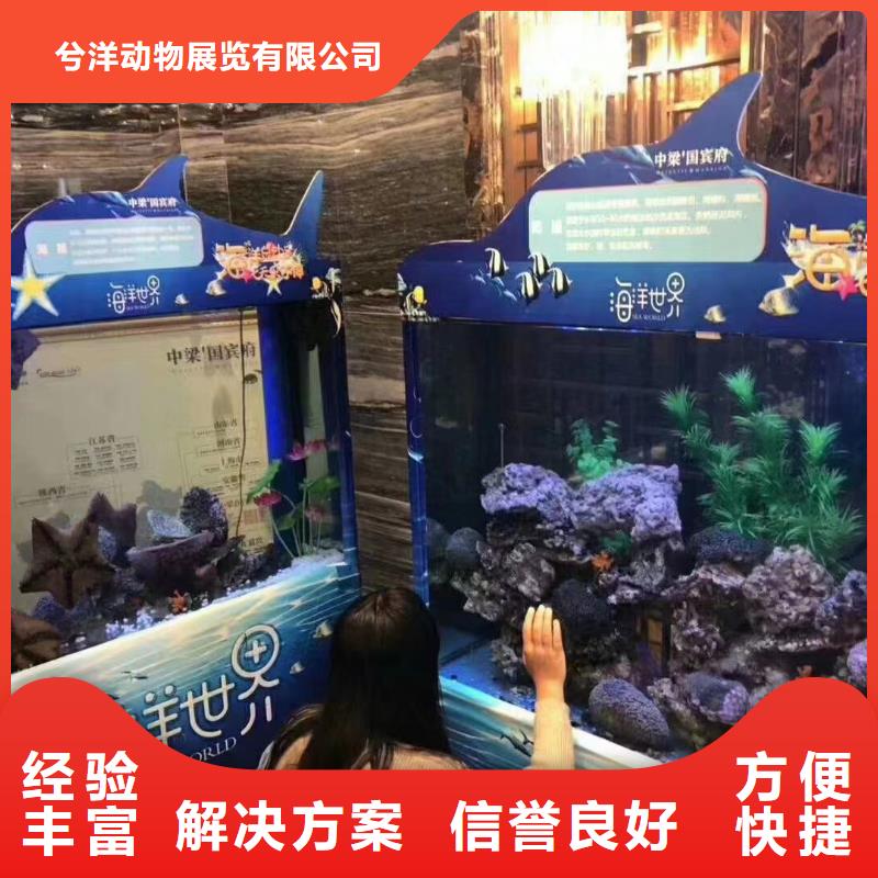 哪有出租海洋展的一手资源