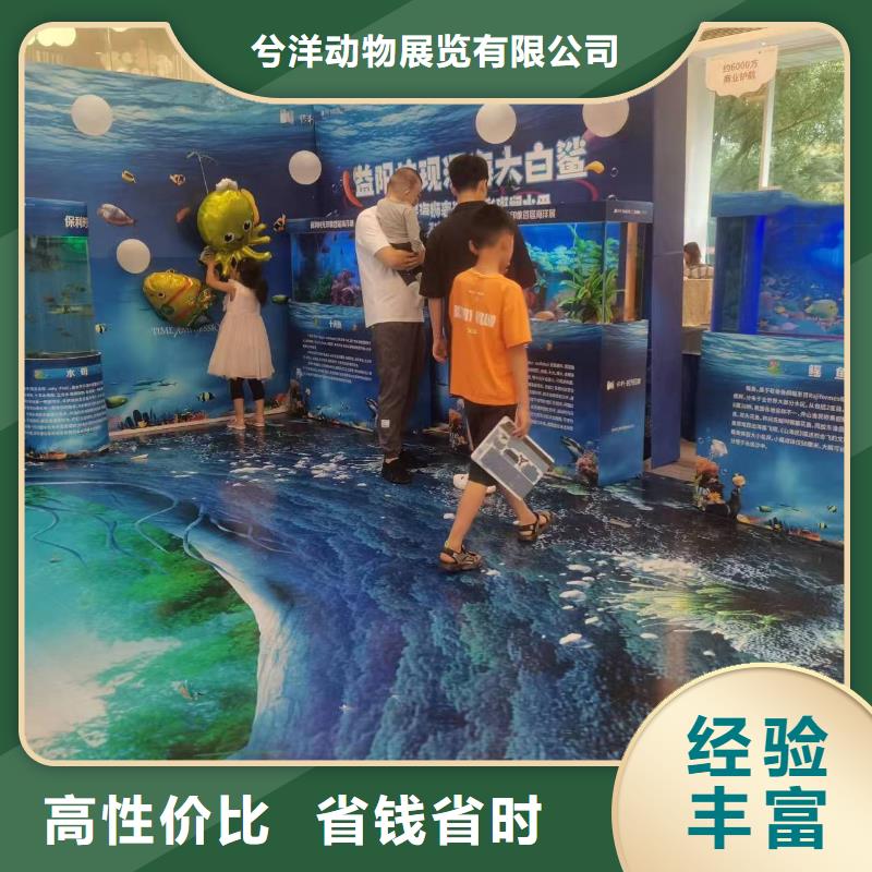 海洋生物展租赁海洋主题