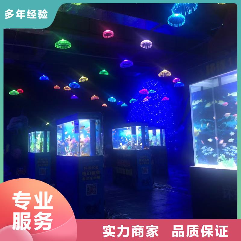 支持定制的海洋生物展出租厂家