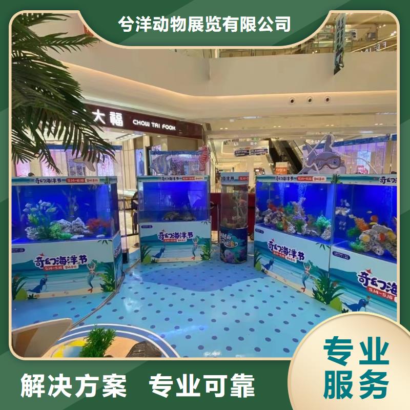 支持定制的海洋生物展出租厂家