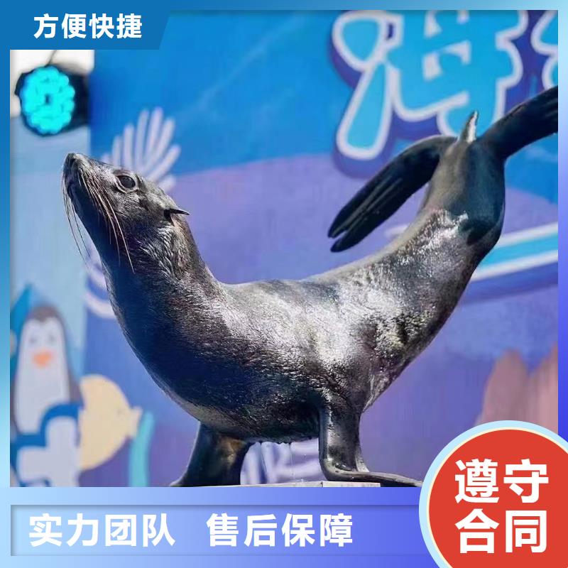 海洋展租赁附近