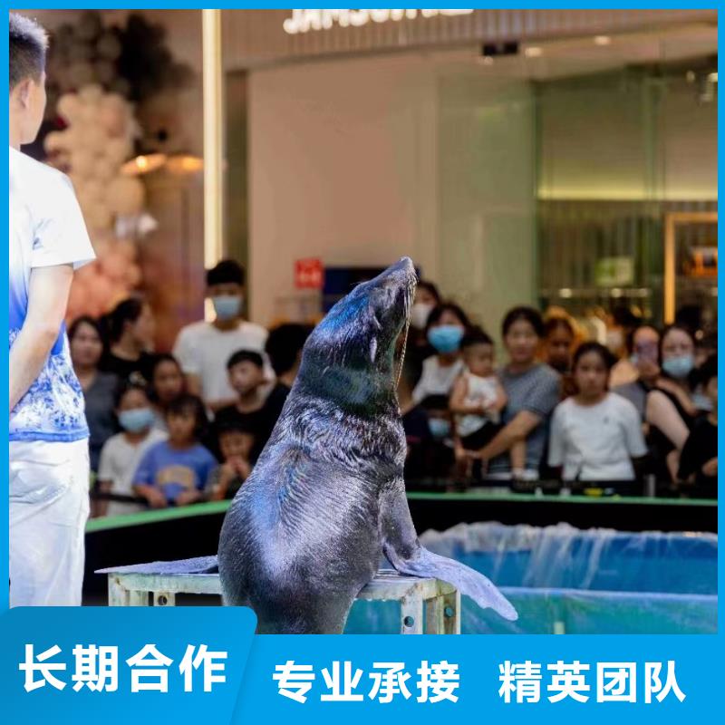 海狮租赁公司活动庆典