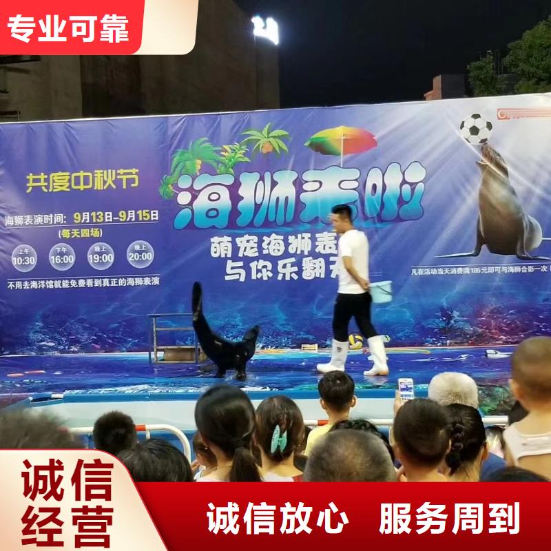 海洋主题动物表演【羊驼出租】服务至上