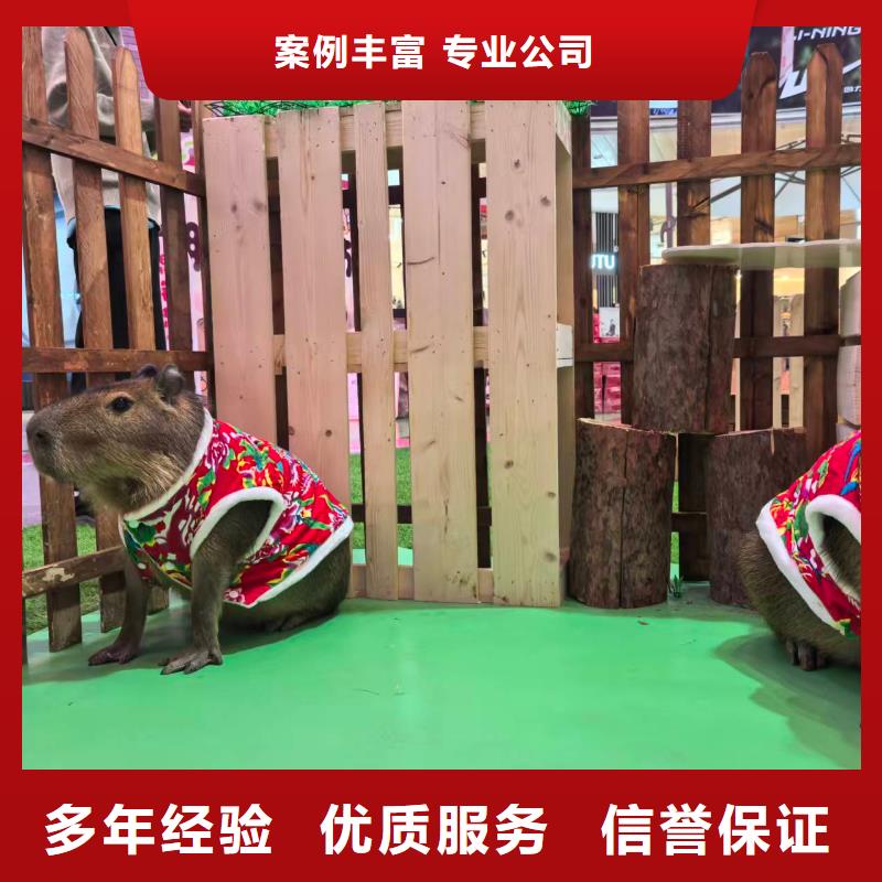 深圳饲养员-饲养员一手货源