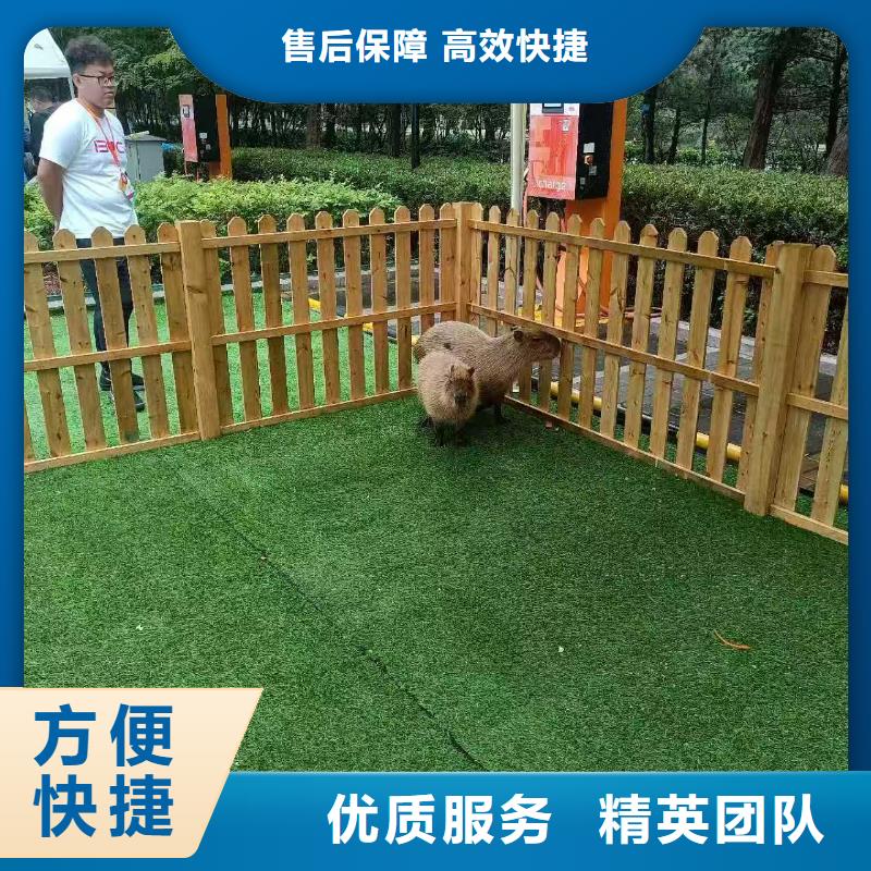 深圳饲养员-饲养员一手货源