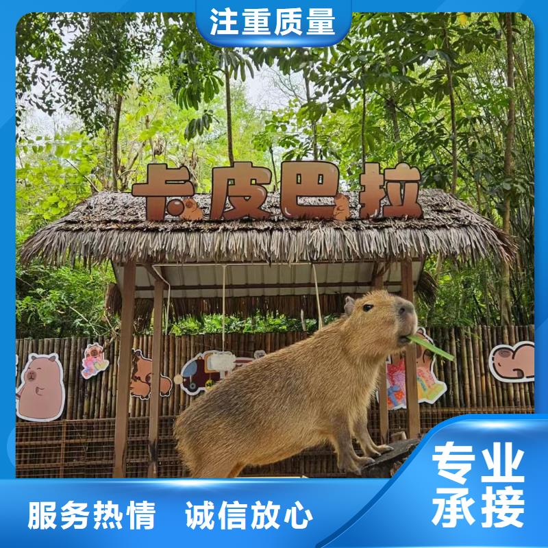 诚信供应租赁资质核查的厂家