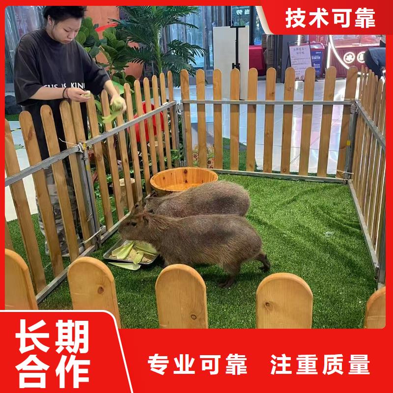 深圳饲养员-饲养员一手货源