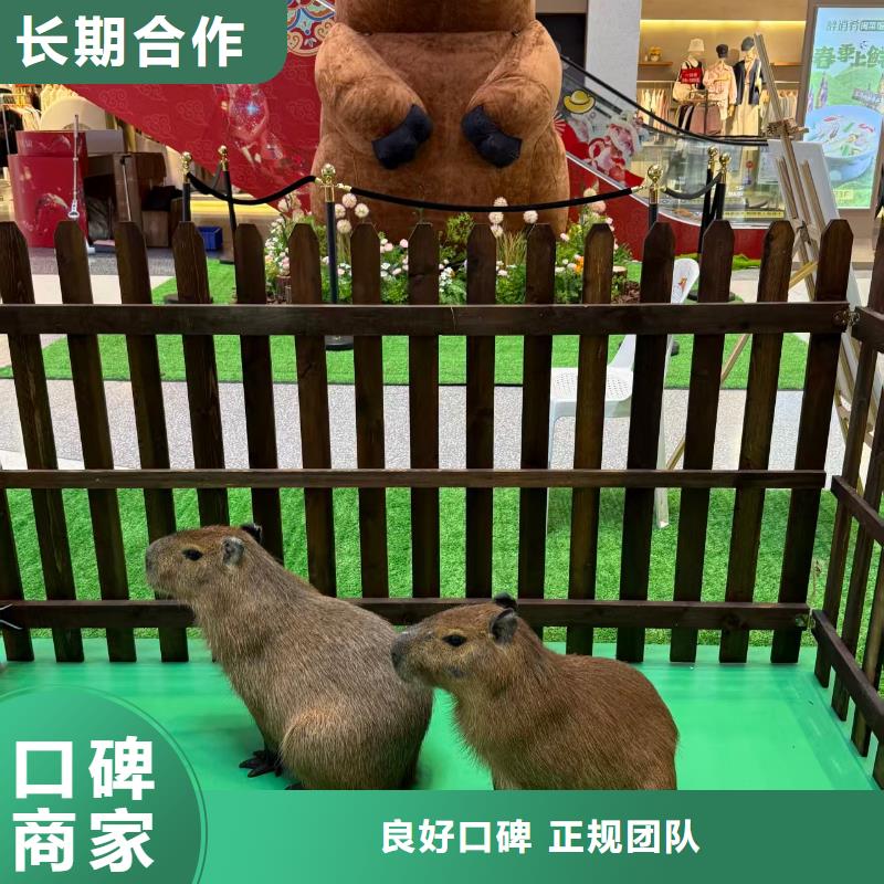 泳池 、泳池 生产厂家-型号齐全