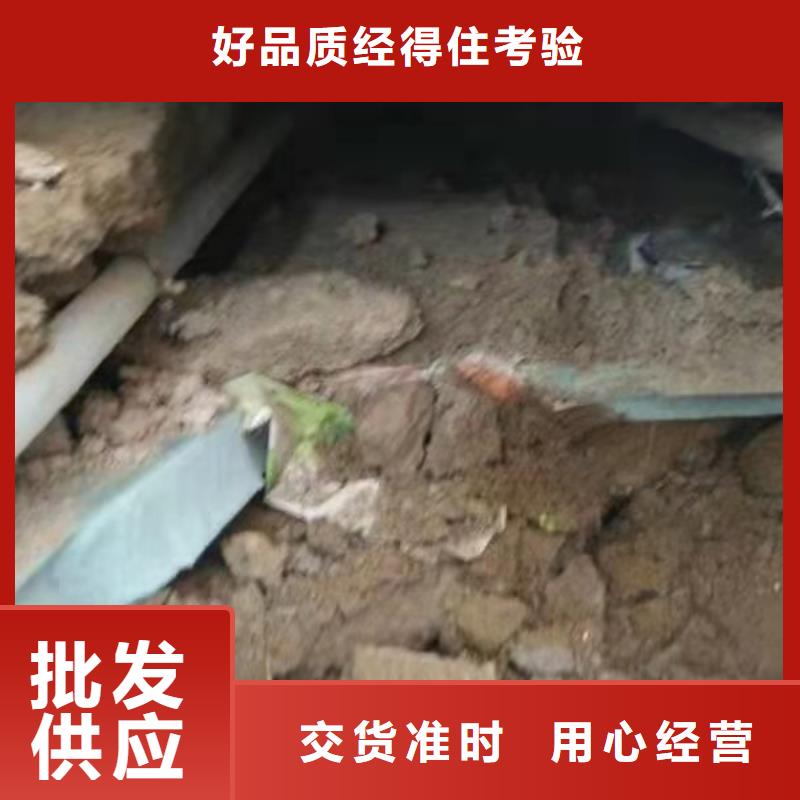 值得信赖高聚物注浆/公路脱空注浆[宾都]