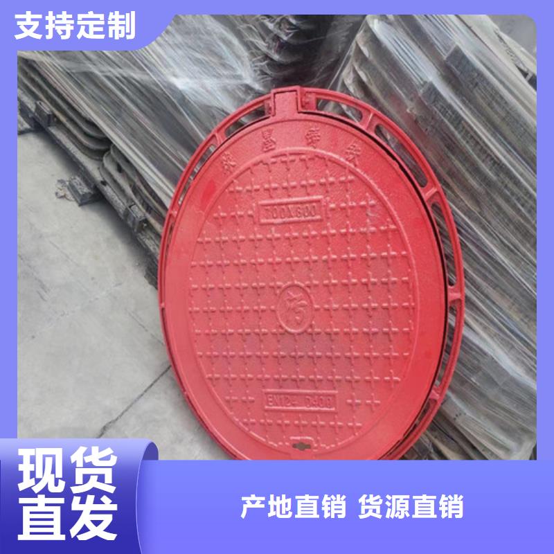 屯昌县-200*500球墨铸铁雨水沟盖板