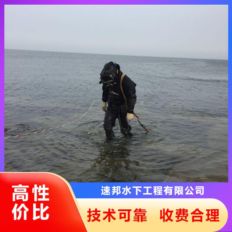 上海市水鬼蛙人施工队伍-水下摄像拍照检测协力同创