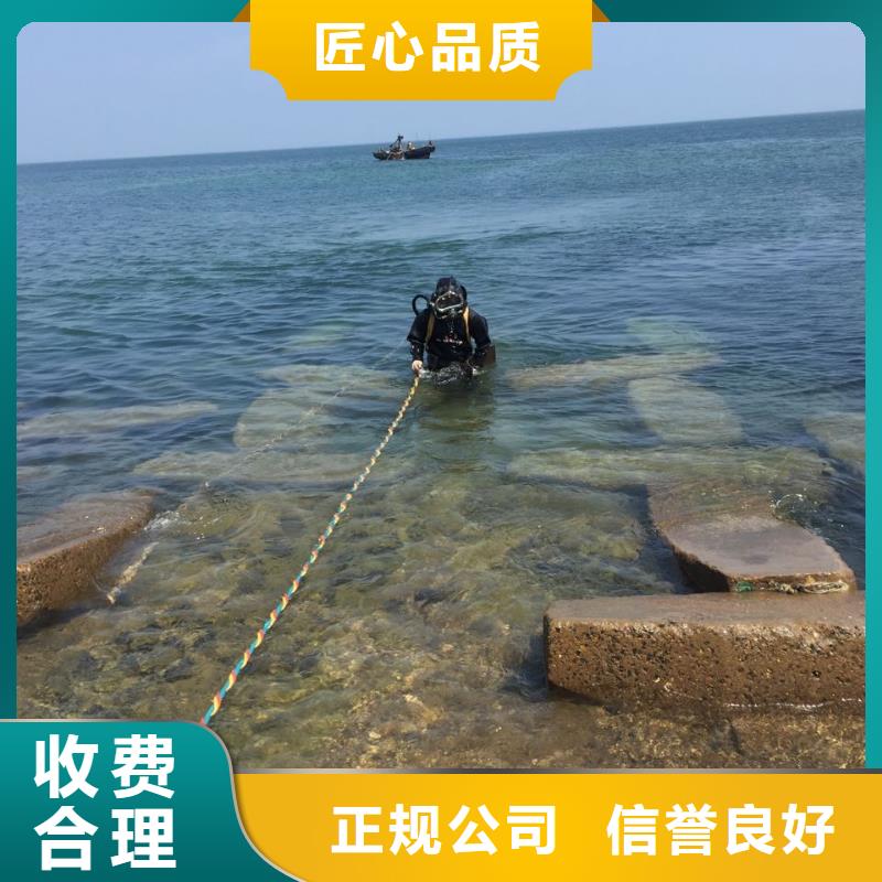 [速邦]上海市水鬼蛙人施工队伍-水下摄像拍照检测 协力同创