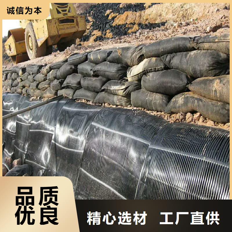 钢塑土工格栅支持定制