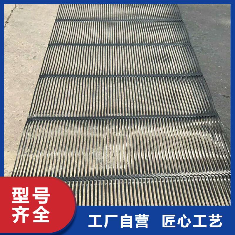 双向塑料格栅厂家直销