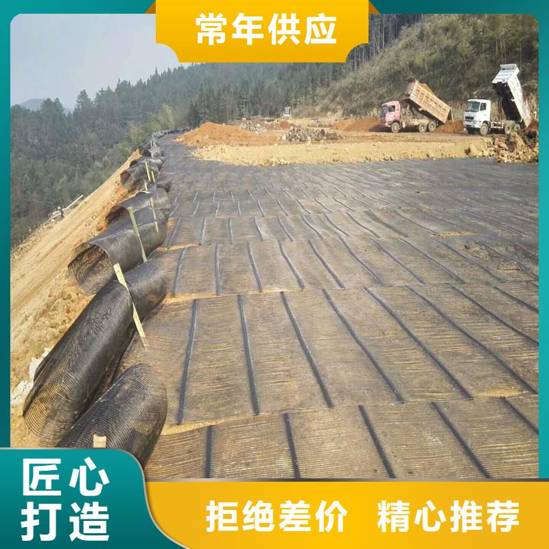 钢塑土工格栅型号齐全