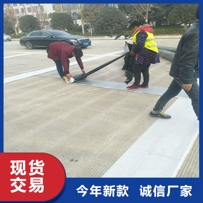 双向塑料格栅价格