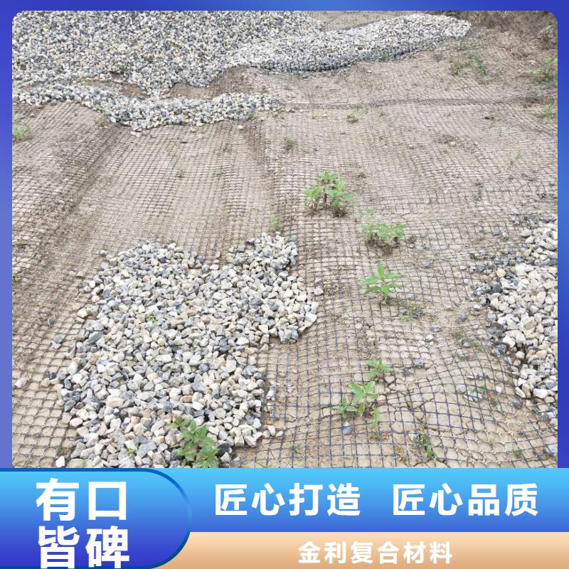 钢塑土工格栅供应商