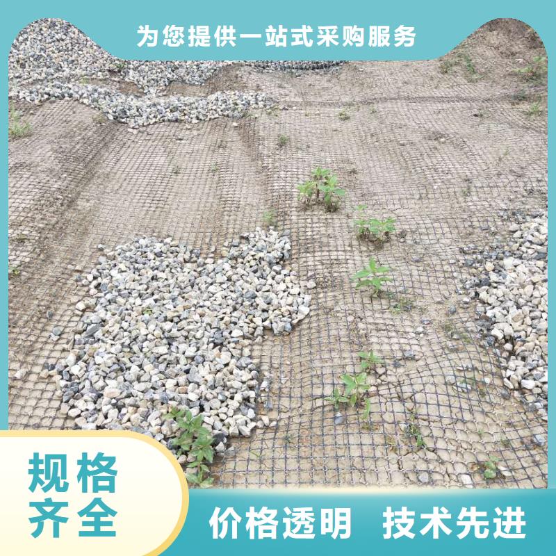 双向土工格栅厂家