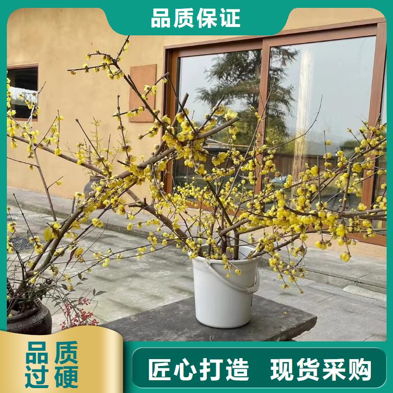 仿五花断层夯土漆价格 #泥巴墙漆#老房翻新#民宿改造