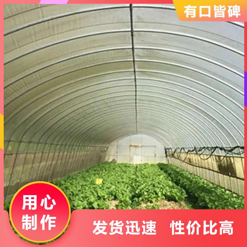 伦教街道葡萄沃柑种植大棚施工团队