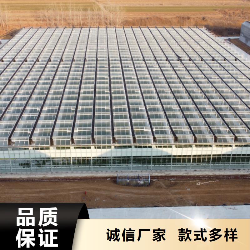中国（）华侨经济文化合作试验区4.2米大棚钢管品质保证【其