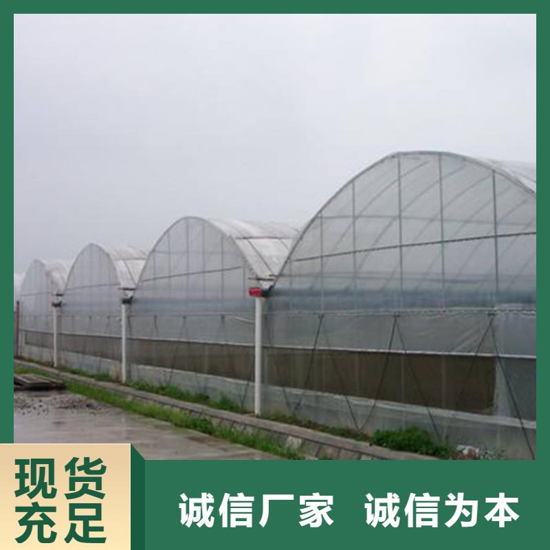 进口PEP利得膜价格优惠2024乡村振兴计划