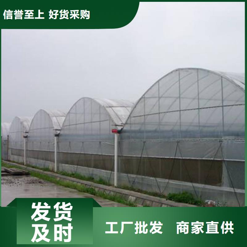 永年县GP825蔬菜大棚管现货价格