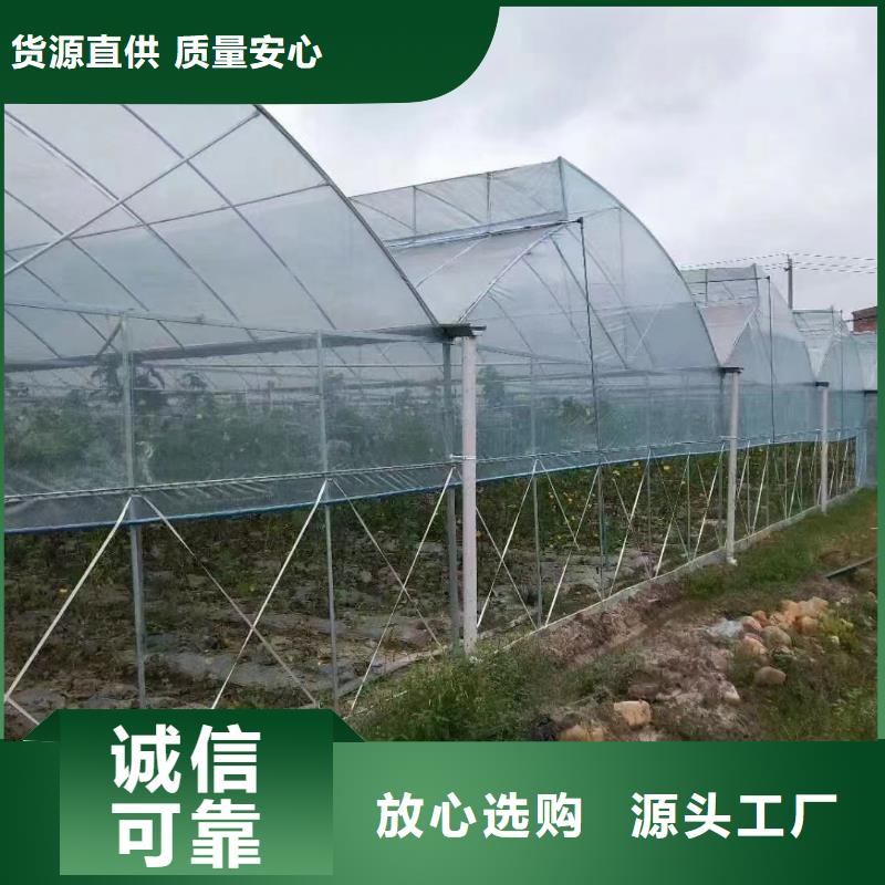 桃城区进口PEP利得膜欢迎电询2024乡村振兴计划