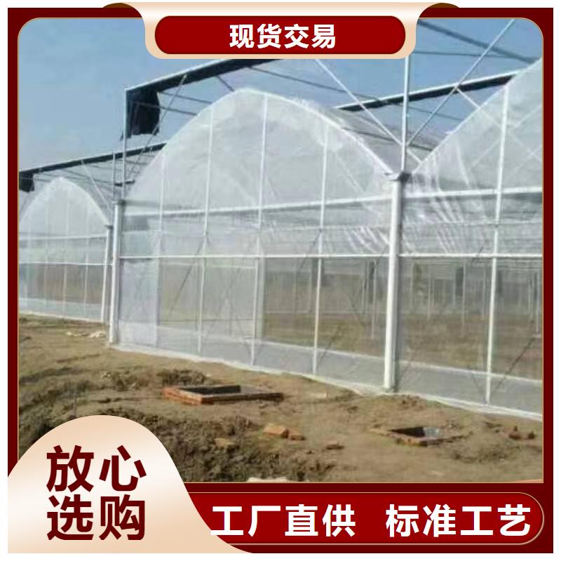 草莓大棚的跨度几米品牌厂家