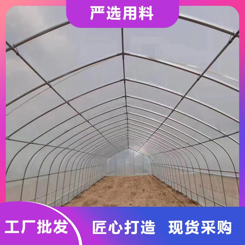上城区大棚骨架连栋温室种类齐全2024-8-28