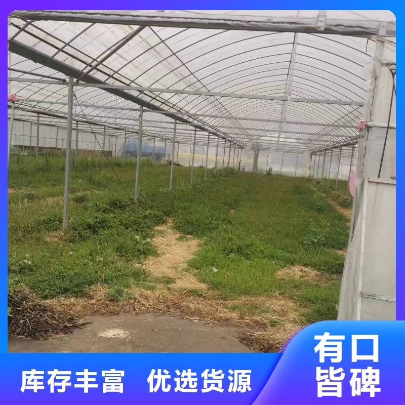 养殖大棚用黑白膜推荐