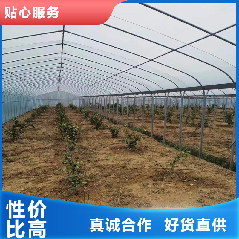 弋江区养殖大棚的宽度标准【修饰词