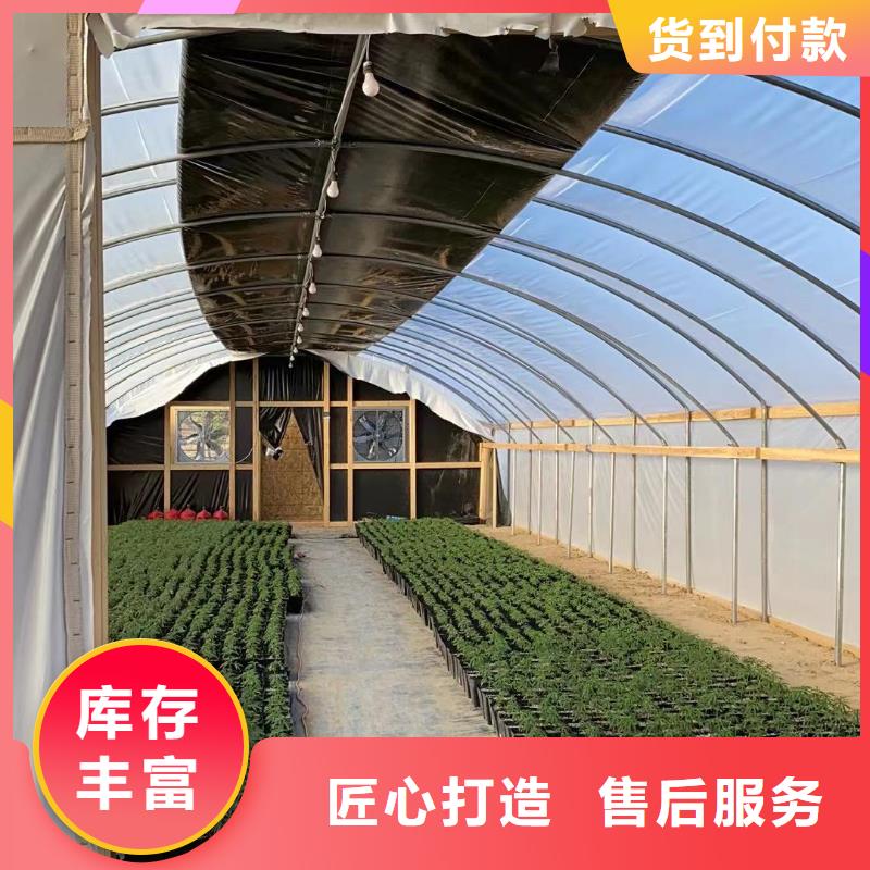 蔬菜温室大棚钢管厂家批发现货供应2024-全国配送