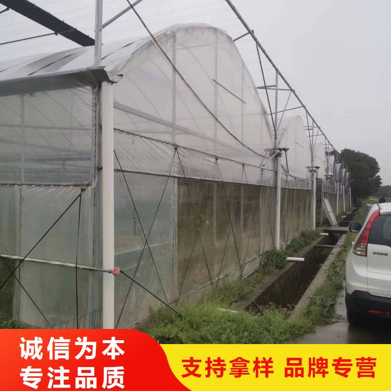 葡萄避雨大棚管10年经验