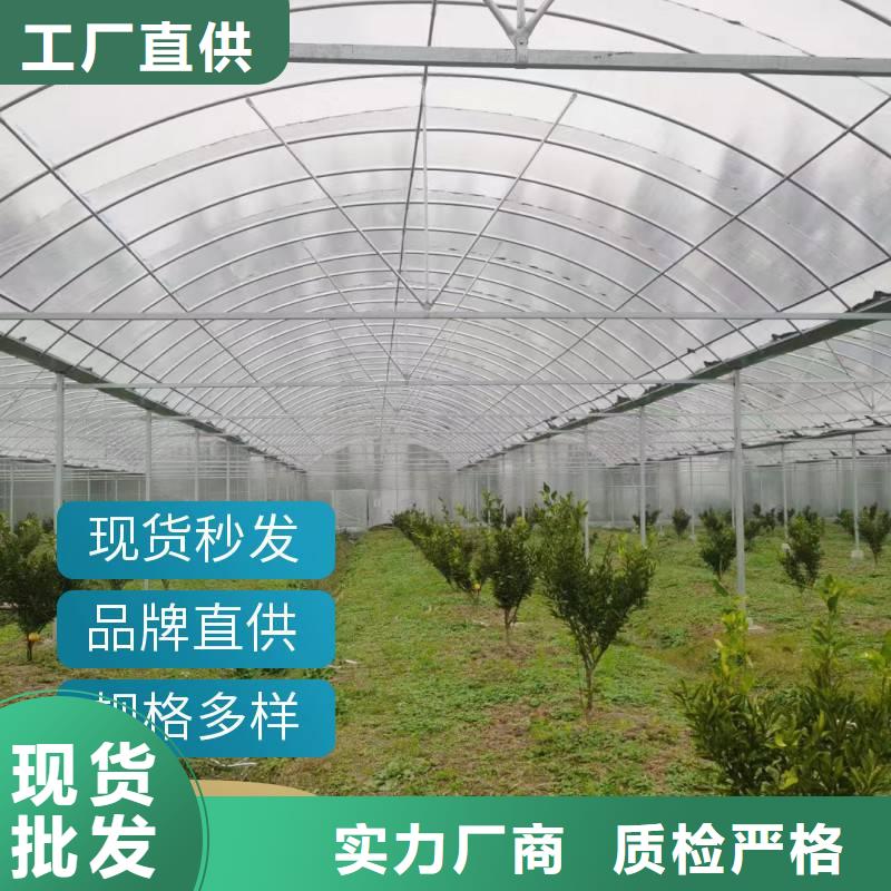 泗阳县大棚骨架连栋温室品质保证2024-8-28