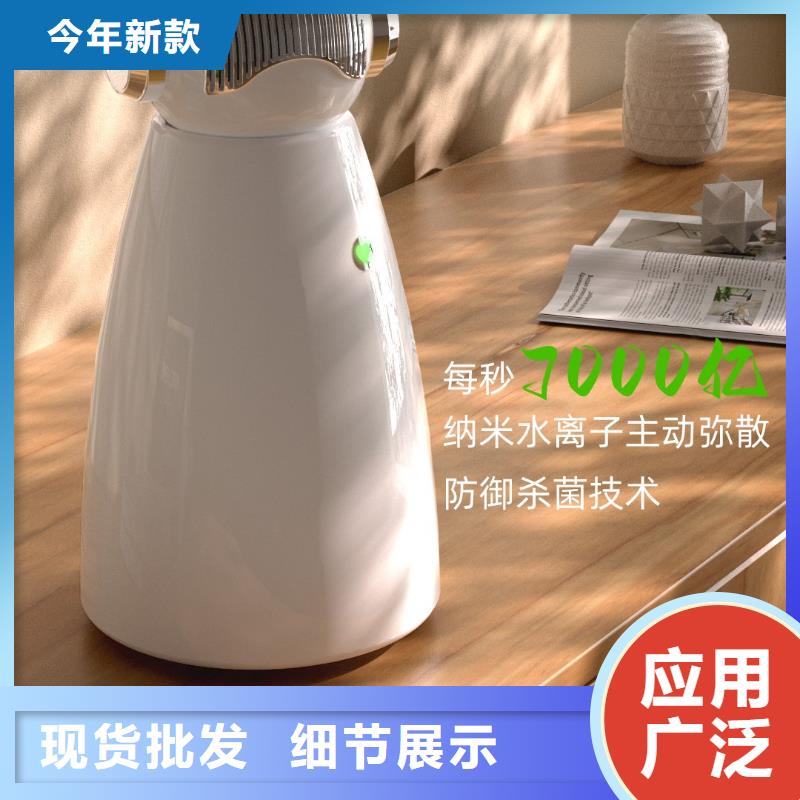 【深圳】负离子空气净化器效果最好的产品小白祛味王