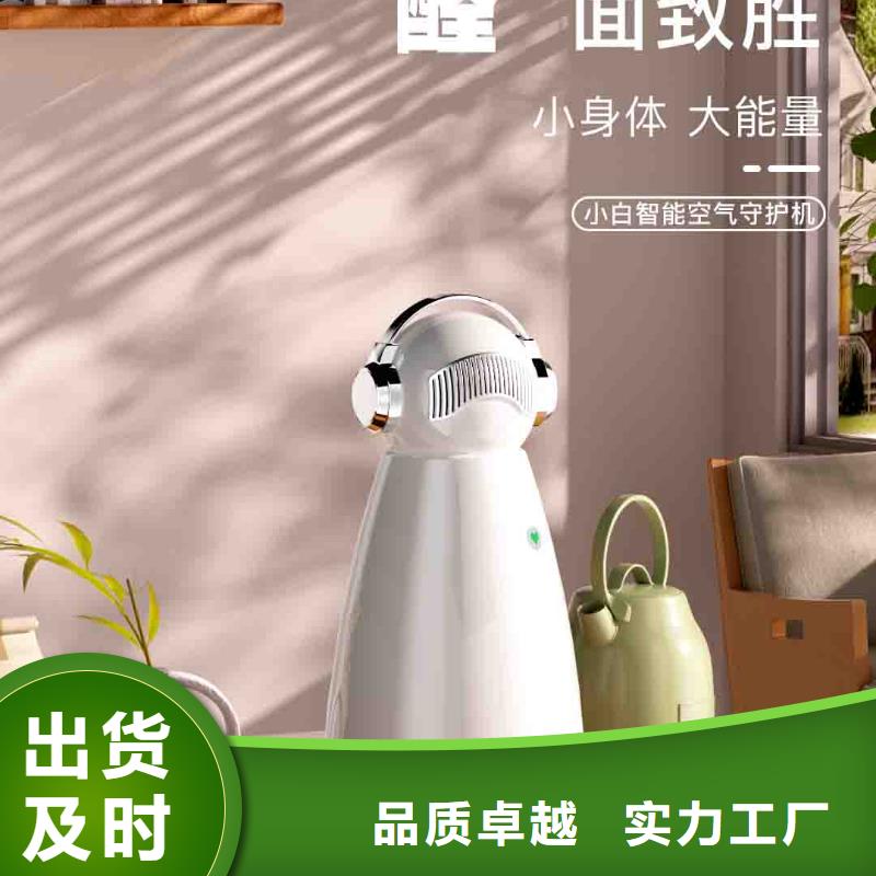 小白空气守护机小白空气守护机器人价格优选原材