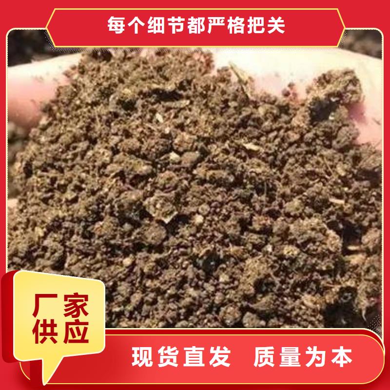 新价格曹县东明鄄城发酵鸡粪