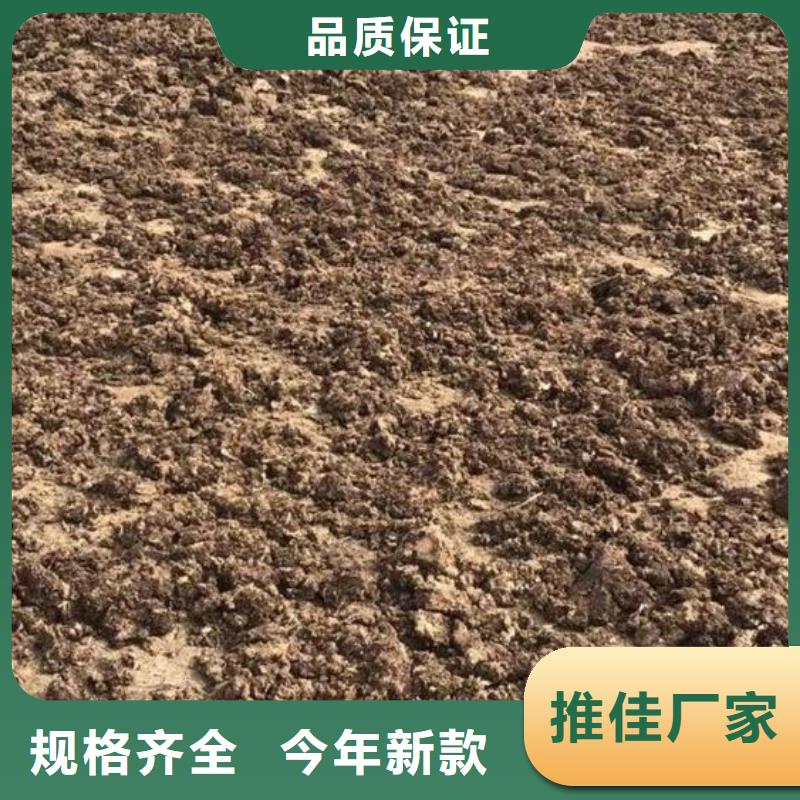 提升农产品品质万荣吉县芮城发酵鸡粪