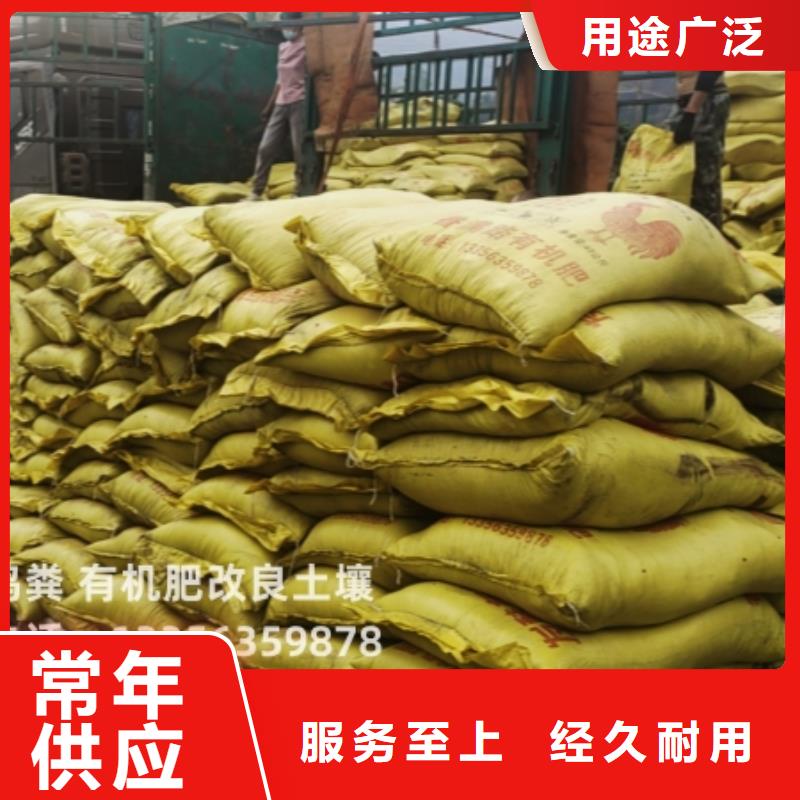干鸡粪块放心农家肥
