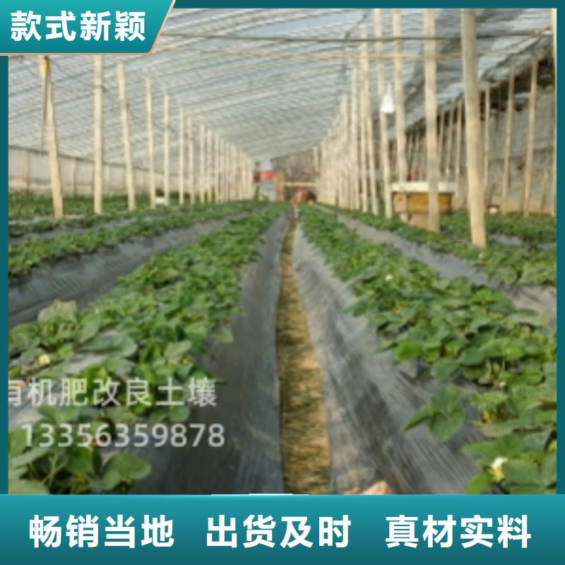 稻壳鸡粪土壤肥力