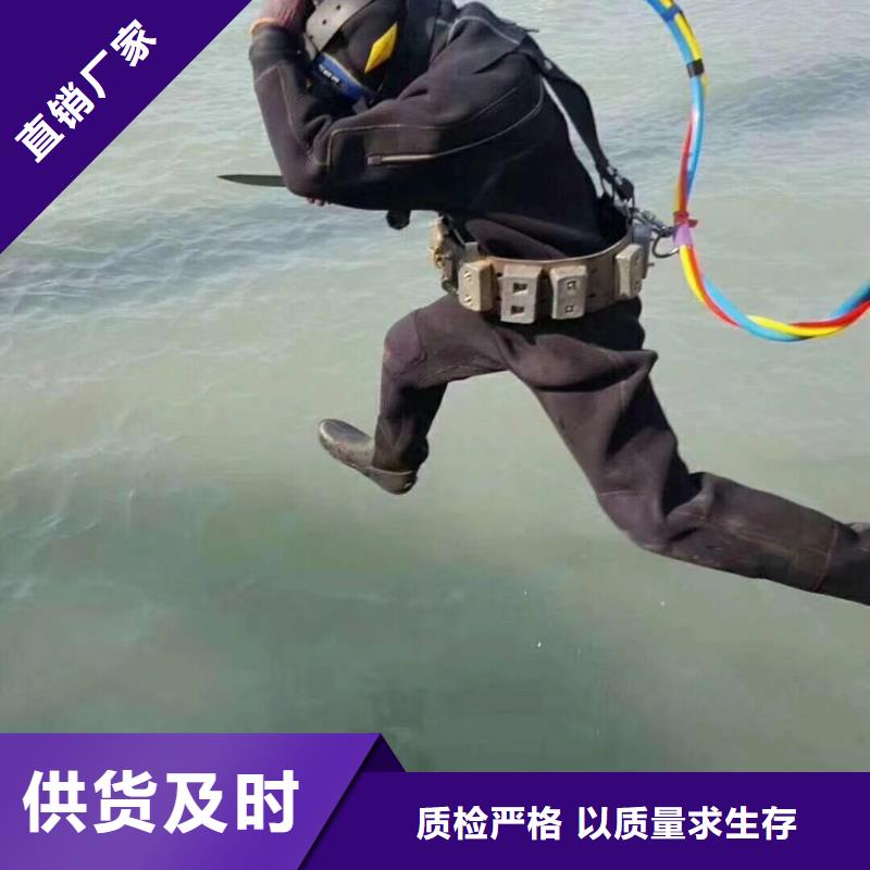 水下拦污栅更换清理经验丰富