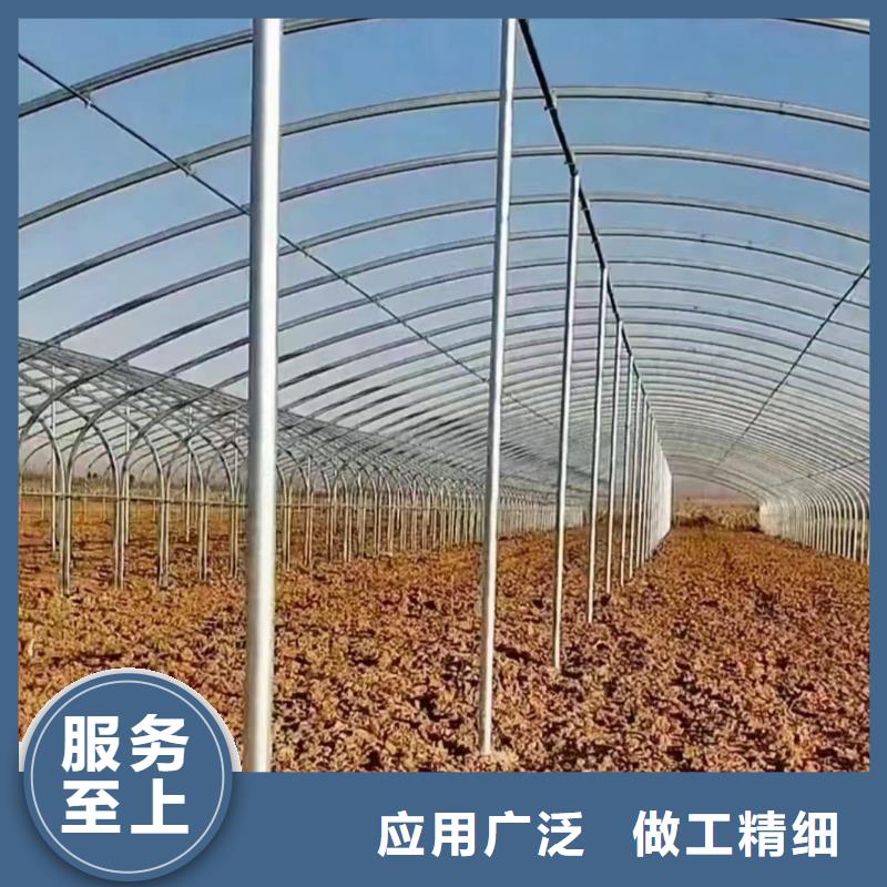 温室大棚光伏支架地桩您想要的我们都有