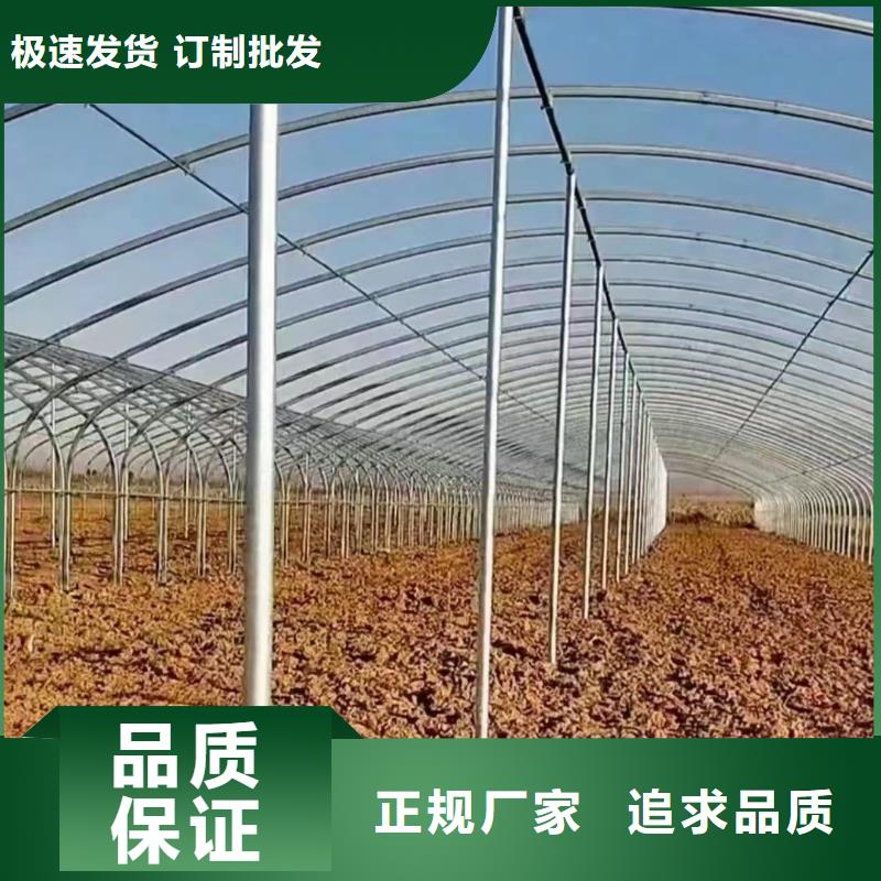 温室大棚 锌铝镁方矩管甄选好厂家