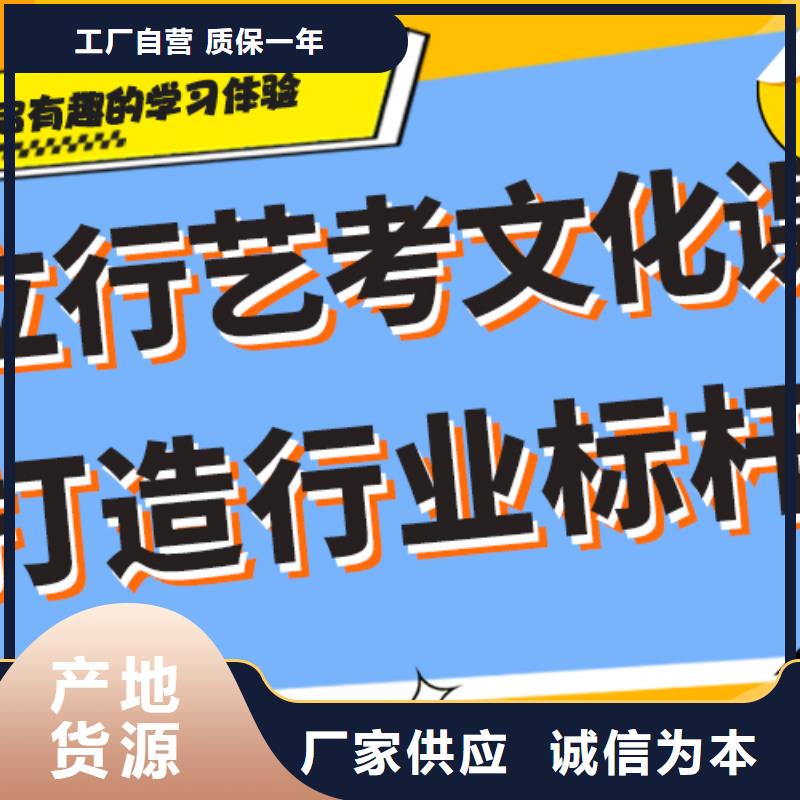 艺考文化课辅导有哪些双文化课教学